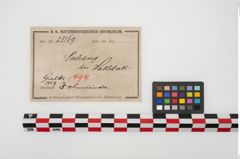 Etikett zu Bronzearmreif (NHMW-PRAE-025169)